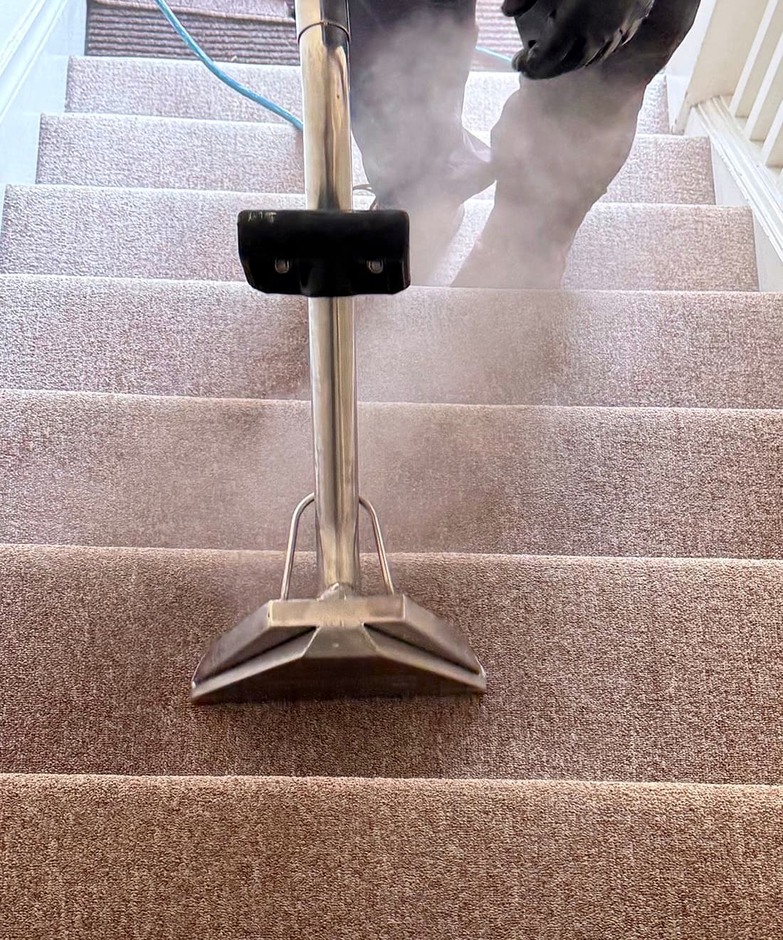 Professional carpet cleaning team restoring carpets in East Bay homes