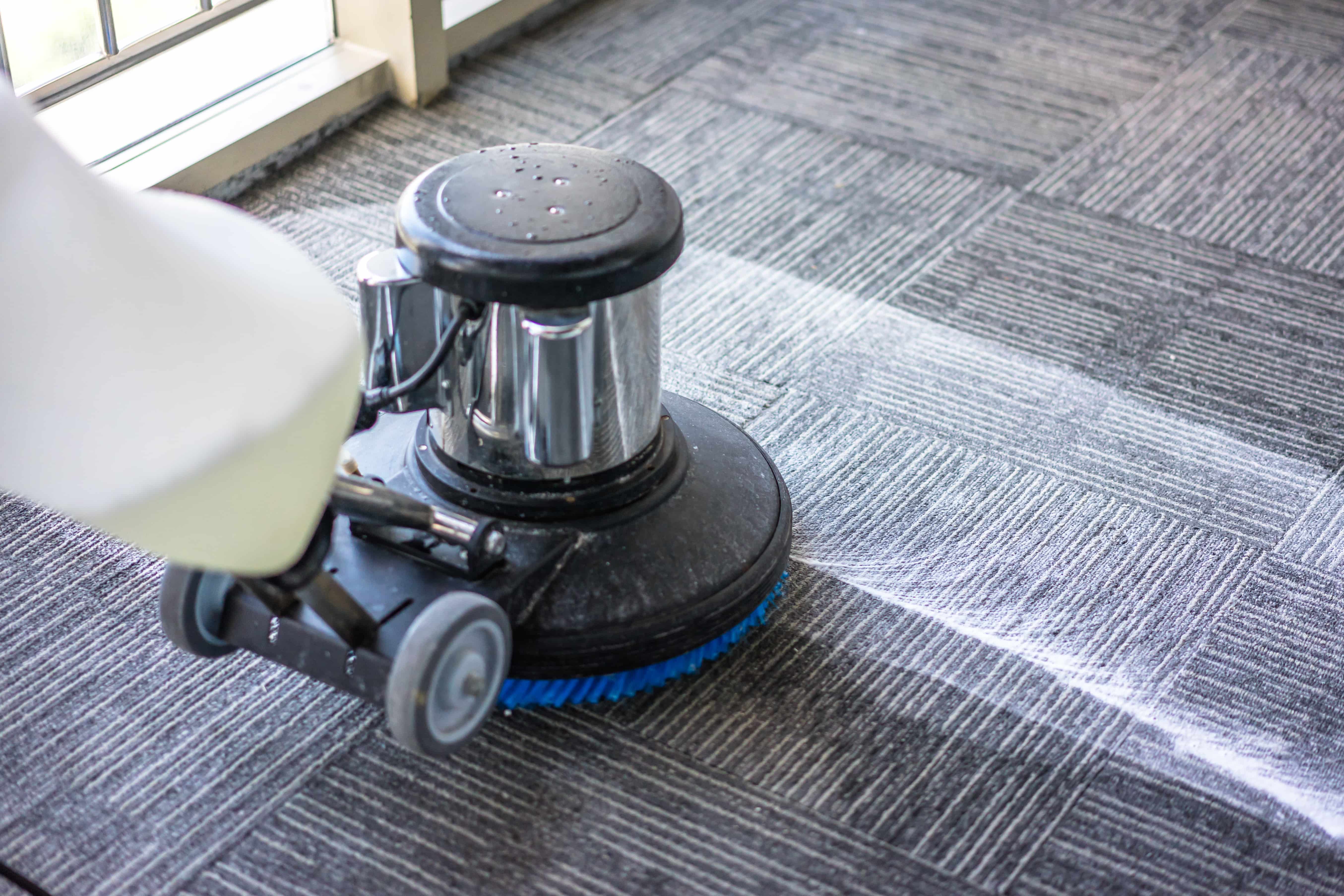 Carpet cleaning FAQ and tips for homeowners in East Bay