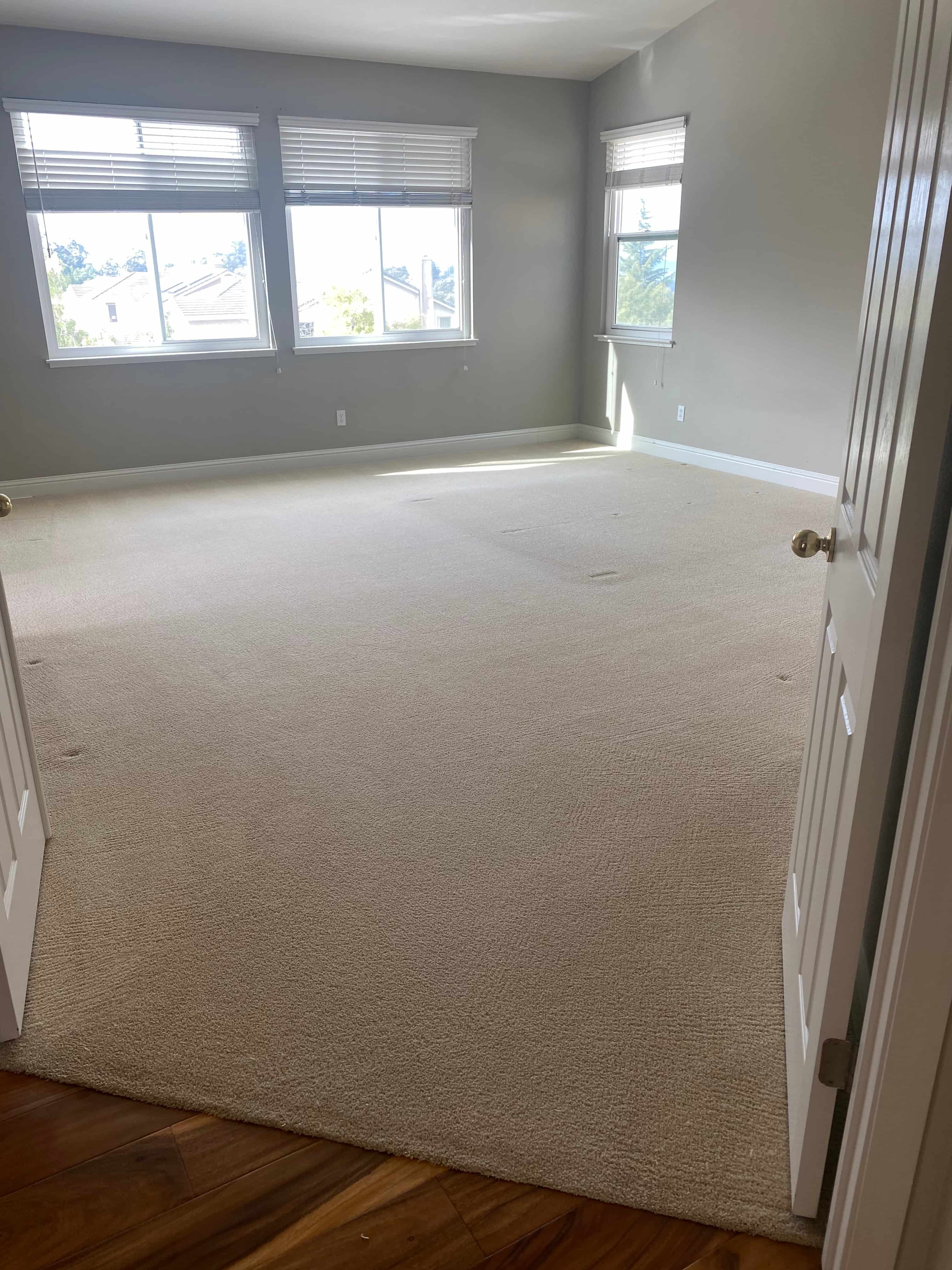 Removing set in carpet stains and odors