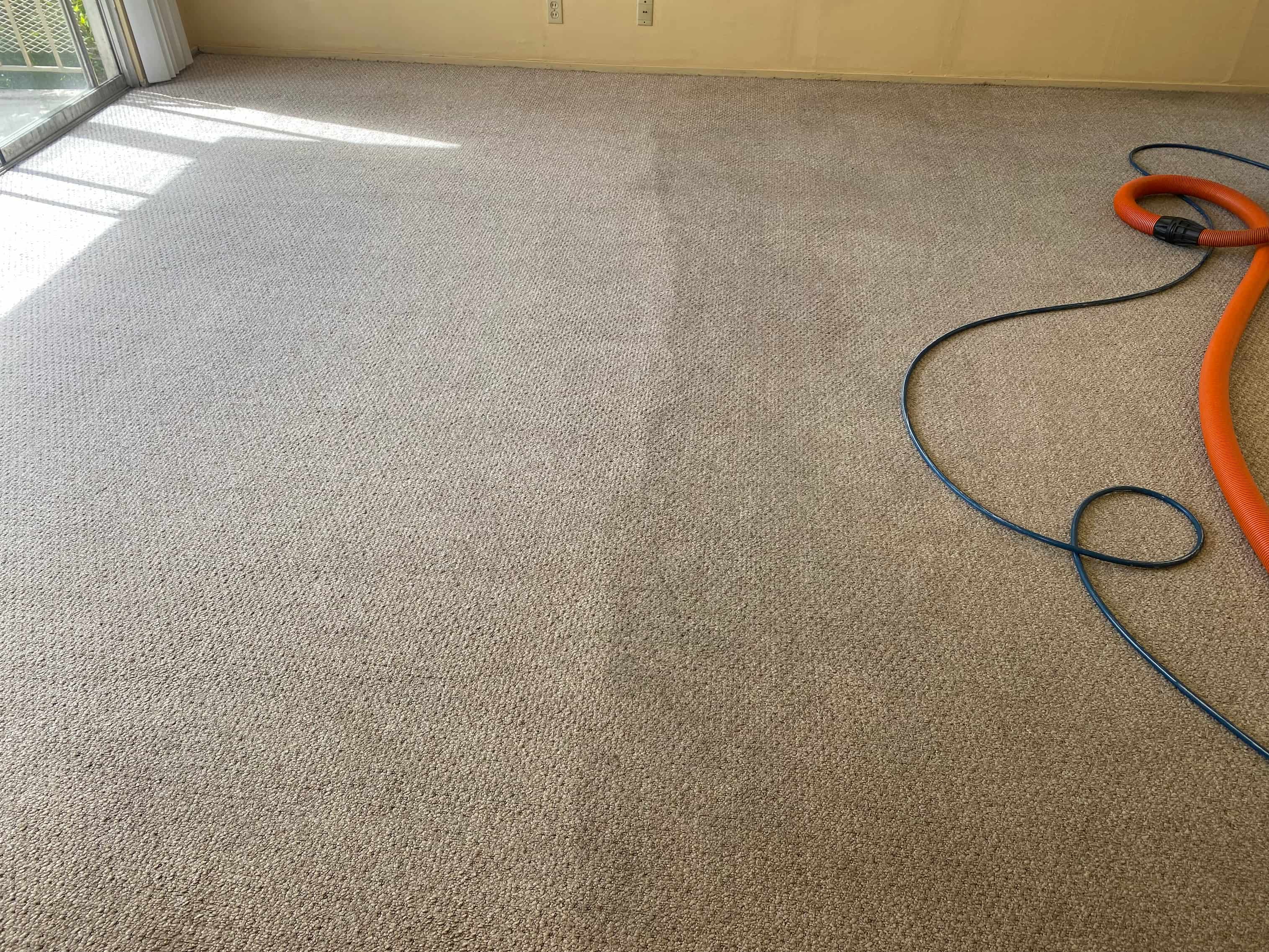 Eco safe products applied during carpet cleaning